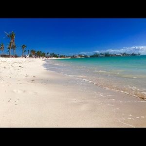 Meet your Posher, Lindsay